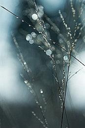 Steam特别好评 《九十六号公路》玩家数量已达200万